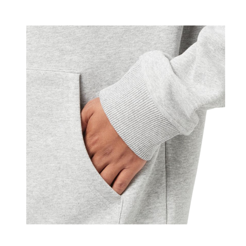 THE NORTH FACE HOODIE TNF/Light Gray Heather