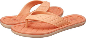 Slipper91228